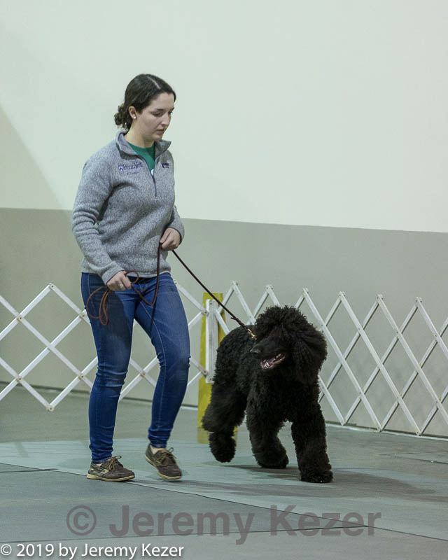 20190112-asc-0008.jpg