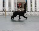 20190514-ob-0147