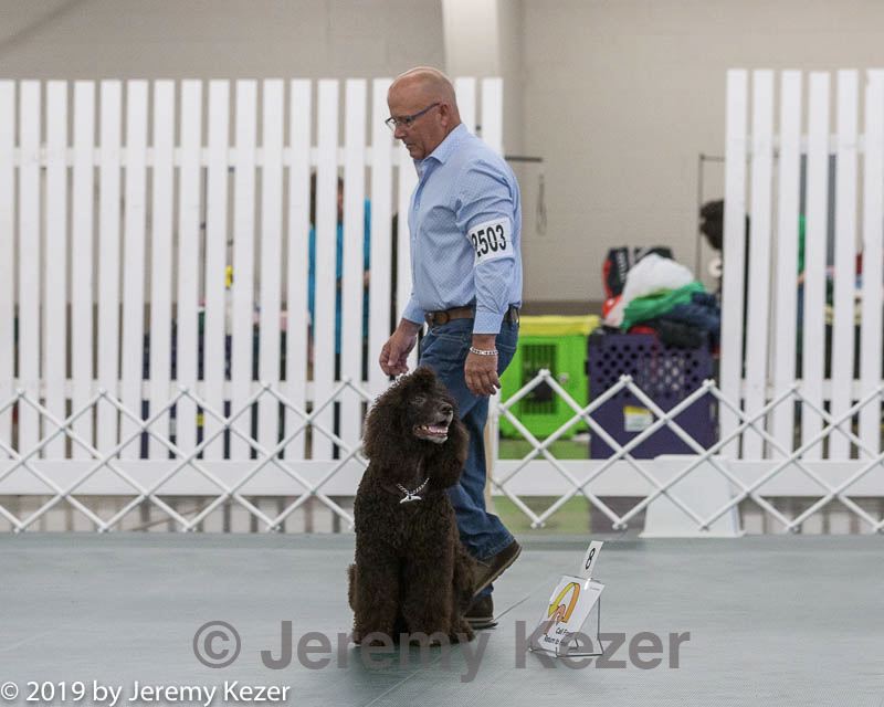 20190514-ra-0111.jpg
