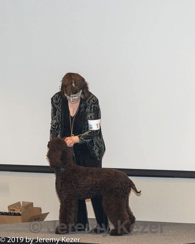 20190514-ten-0045.jpg