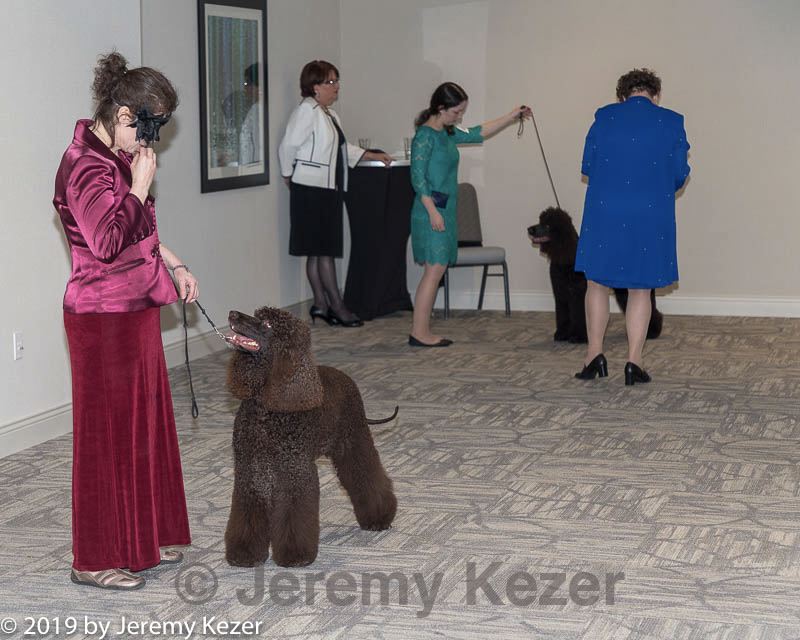 20190514-ten-0083.jpg
