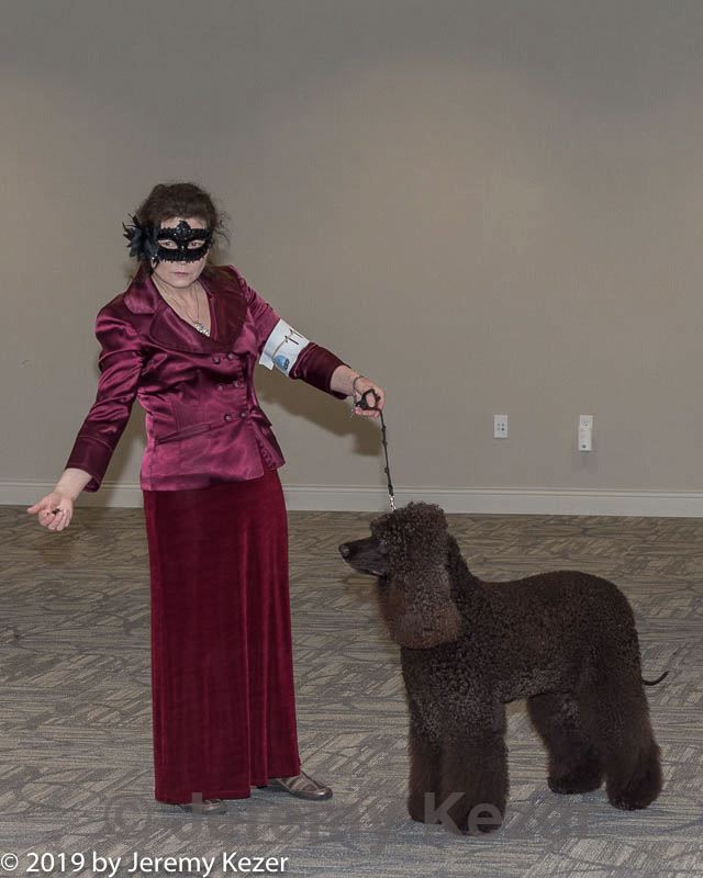 20190514-ten-0102.jpg