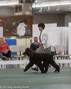 20190515-co-1322
