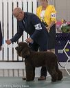 20190515-co-1466