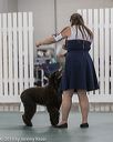 20190515-co-1521