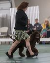 20190515-co-1557
