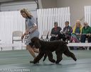 20190515-co-1852