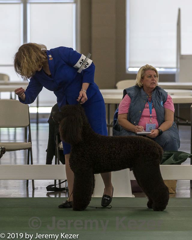 20190515-co-1155.jpg