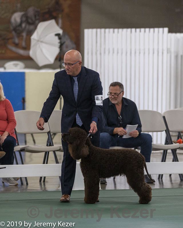 20190515-co-1167.jpg