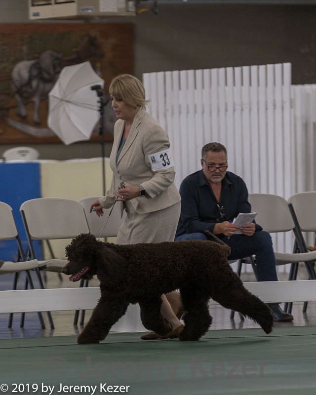 20190515-co-1216.jpg