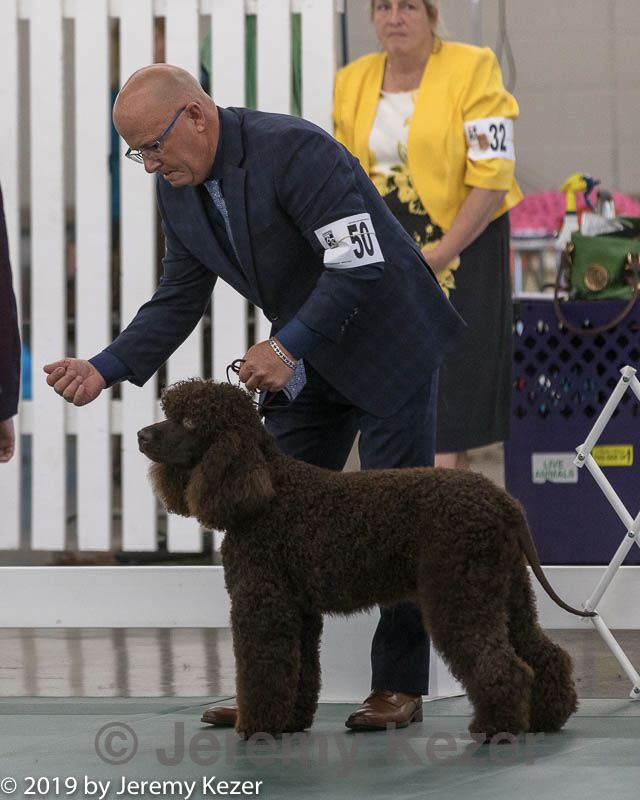 20190515-co-1466.jpg