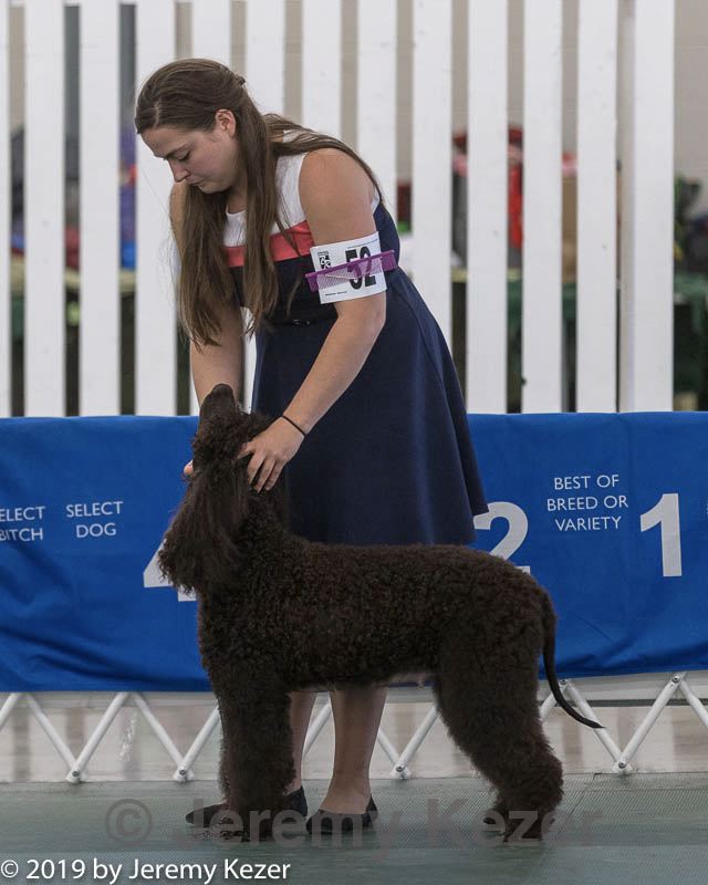 20190515-co-1505.jpg