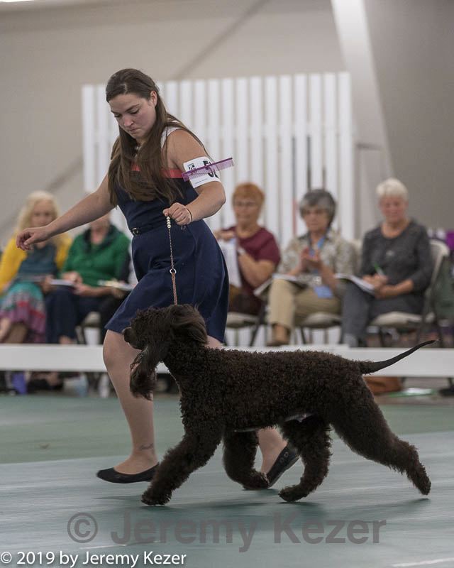 20190515-co-1509.jpg