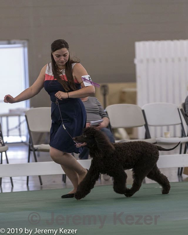 20190515-co-1527.jpg