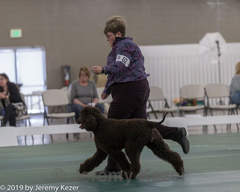 20190515-co-1748.jpg
