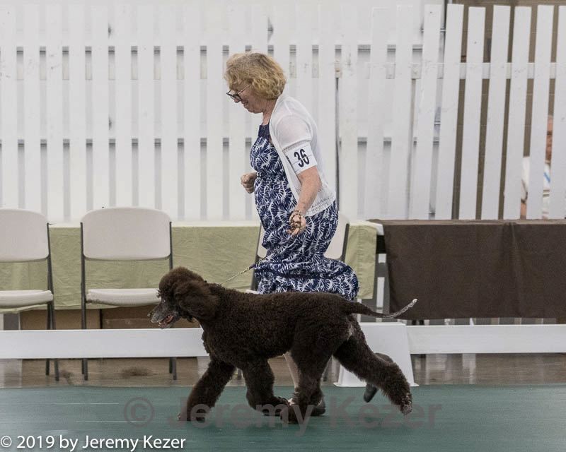 20190515-co-1896.jpg