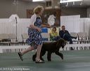 20190515-co-1018