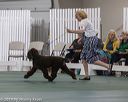 20190515-co-1029