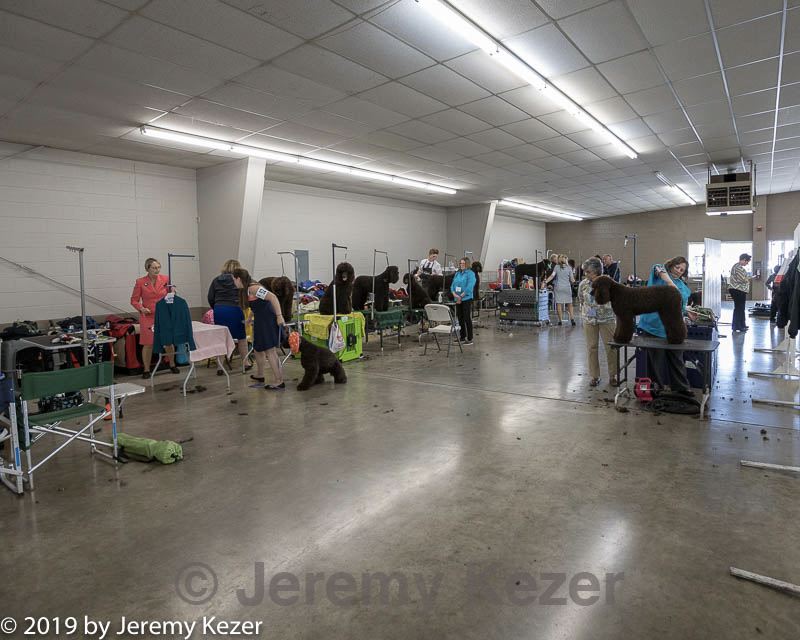 20190515-c-0003.jpg