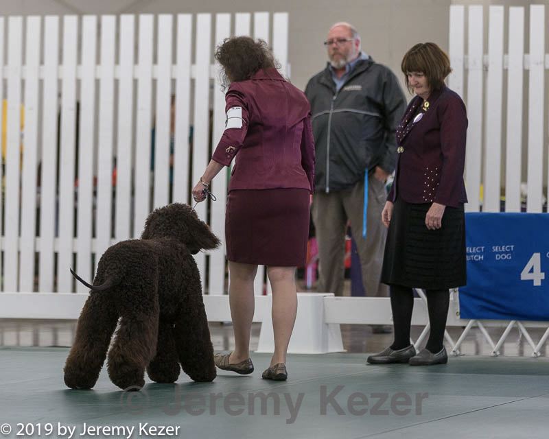 20190515-co-0131.jpg