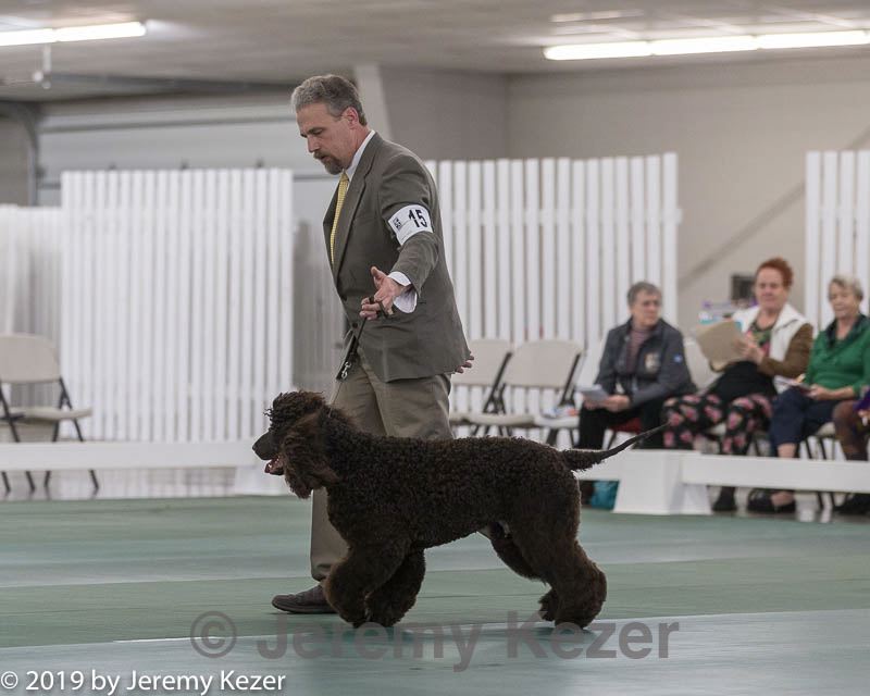20190515-co-0228.jpg