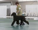 20190515-sw-0078