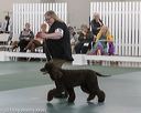 20190515-sw-0515