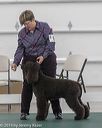20190515-sw-0603