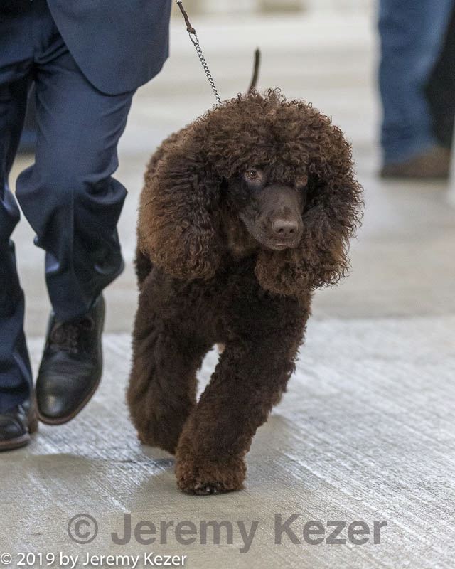20190517-co-0860.jpg