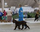 20190517-co-0576