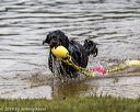 20190817-awd-0074
