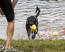 20190817-awd-0081