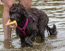 20190817-awd-0094