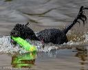 20190817-awd-0127