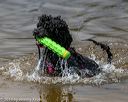20190817-awd-0129
