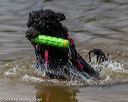 20190817-awd-0130