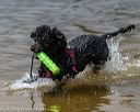 20190817-awd-0133