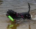20190817-awd-0137