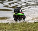 20190817-awd-0182