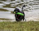 20190817-awd-0186