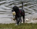 20190817-awd-0246