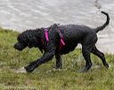 20190817-awd-0276