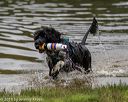 20190817-awd-0305