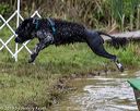 20190817-awd-0324