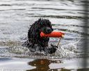 20190817-awd-0365