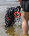 20190817-awd-0379