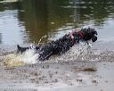 20190817-awd-0394