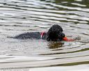 20190817-awd-0400