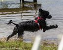 20190817-awd-0489
