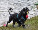 20190817-awd-0523
